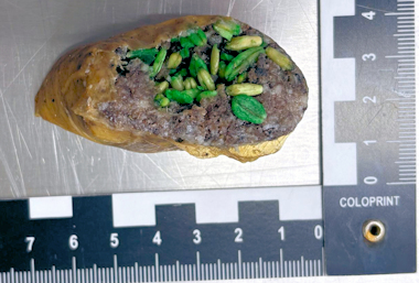 Bild 2: Wurst mit gr�nem Getreide: Nachweis von Bromadiolon